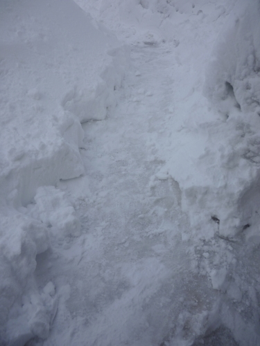 雪投げ