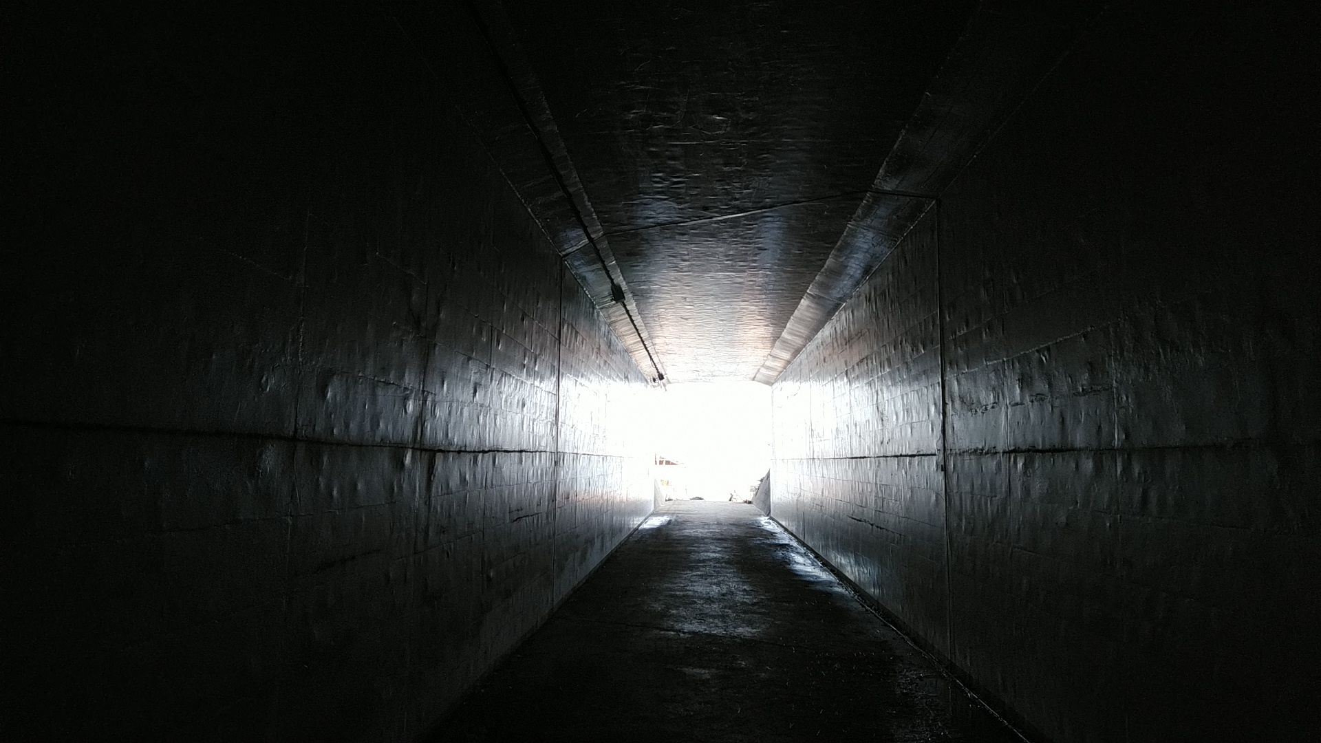 20190901  DSC_0005.jpg.jpg