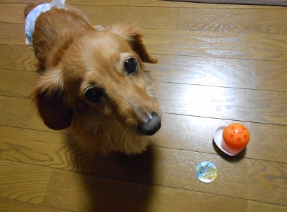 DSCN3225.JPG