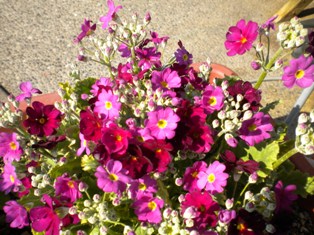 DSCN0627.JPG