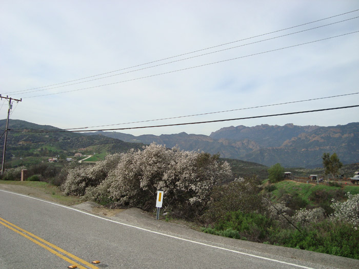 DSC03616.JPG