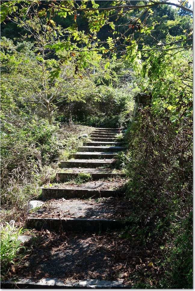 41この階段を登る