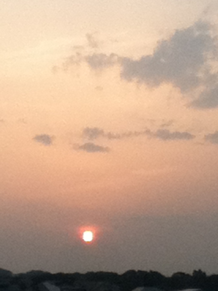 20130522 evening1.JPG