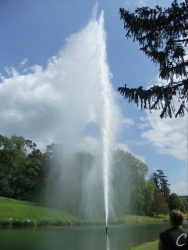 269894_10150238060292821_8364997_n[1] (2).jpg