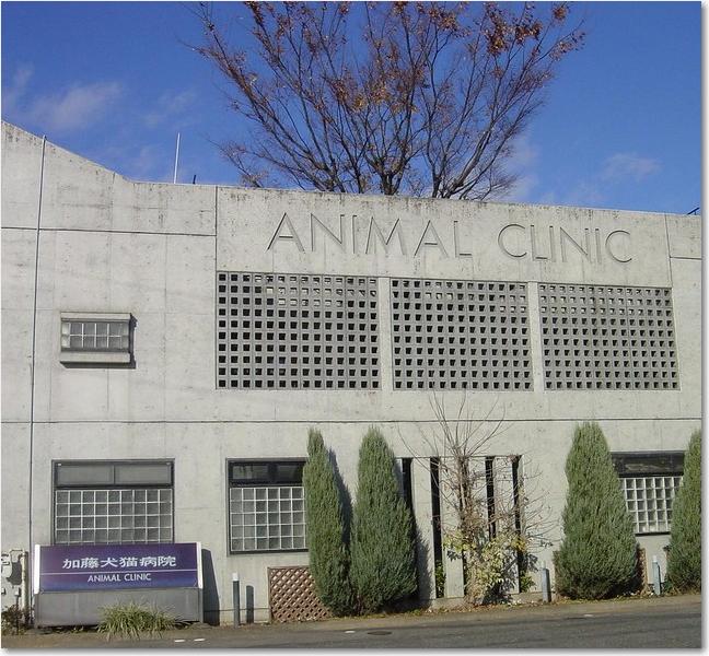 26駅前犬猫病院.JPG