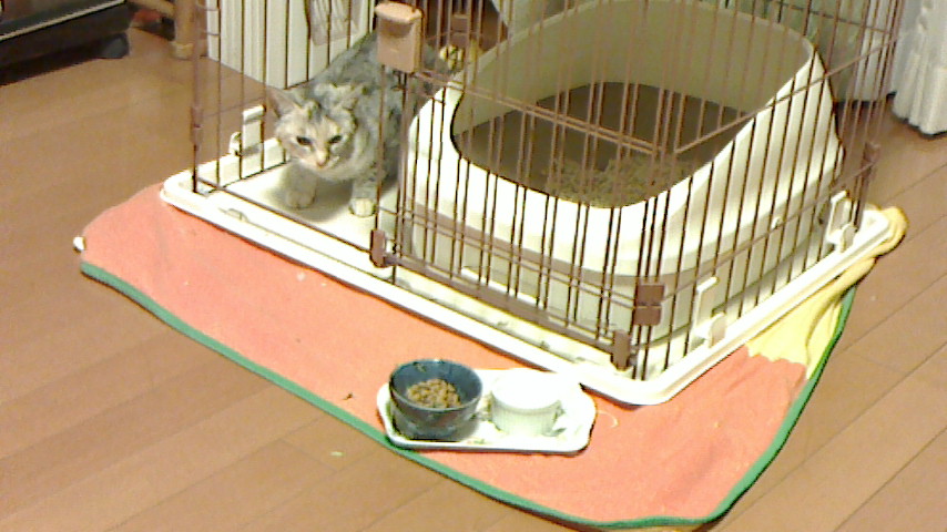 NEC_0603.JPG