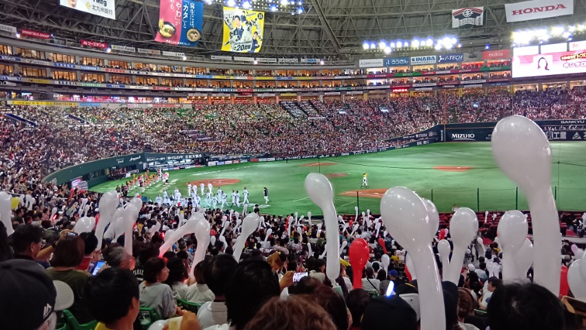 250706153015706 ().JPG