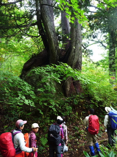 尾瀬欲張りツアー２日目3.jpg