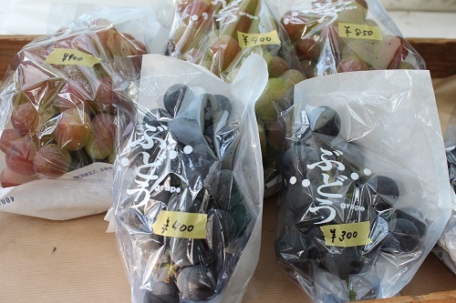 四季彩農園 (4).JPG