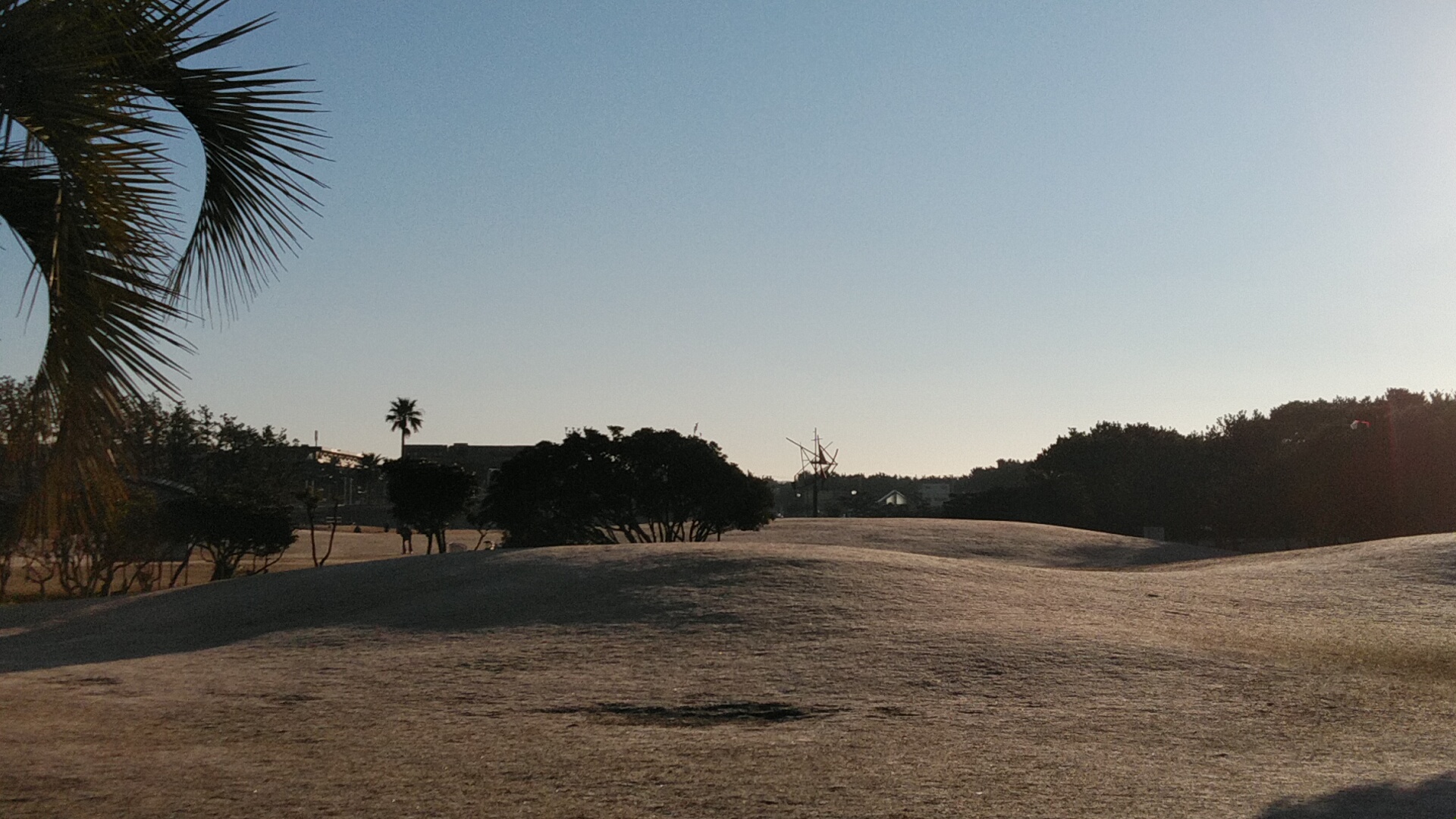 20220104  DSC_0002.jpg