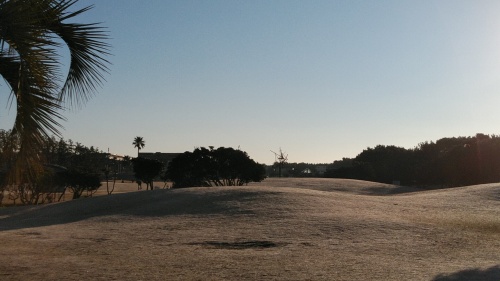 20220104  DSC_0002.jpg