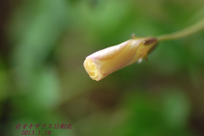DSC_5967.JPG