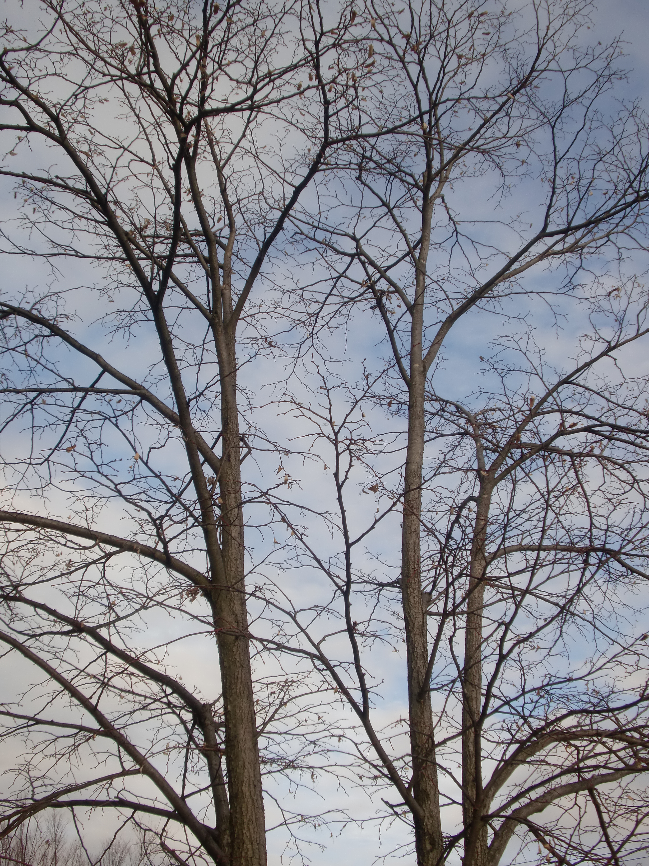 20121128 fine1 01.JPG