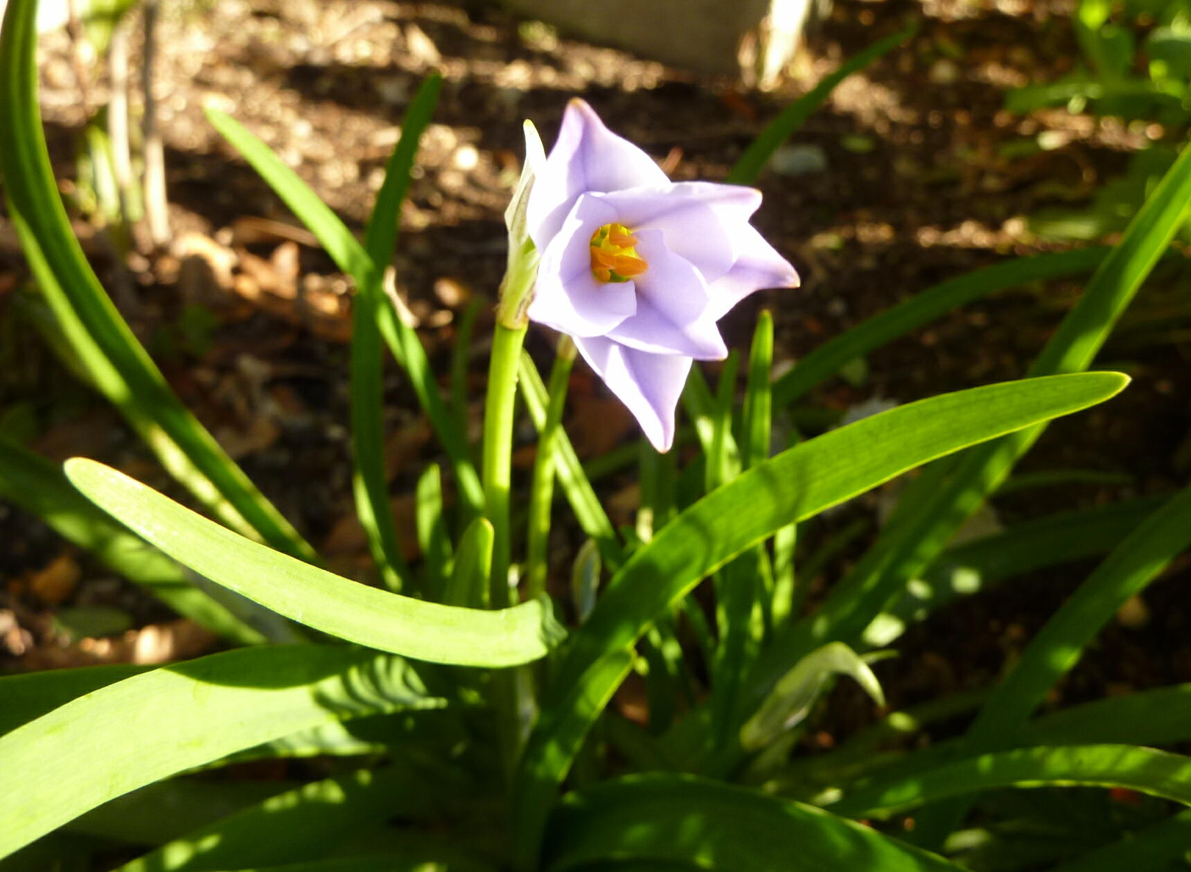 140323-3-9.jpg