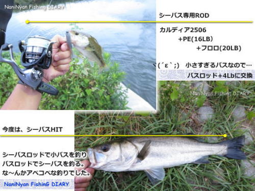 岡山 ブラックバス情報 の記事一覧 W 何がニャンでも ルアーフィッシング日記 楽天ブログ