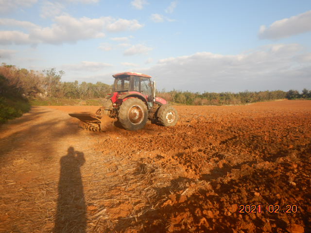 DSCN0547.JPG