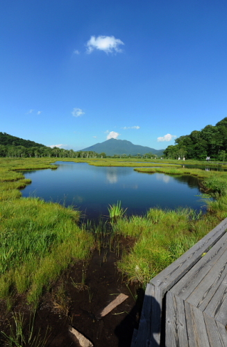 星空の尾瀬ヶ原ツアー201308133.jpg