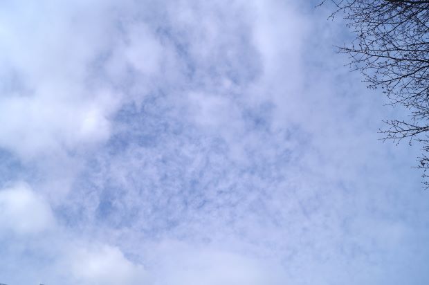_DSC9746.JPG
