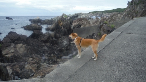 DSCF7291 (640x360) (2) (640x360).jpg