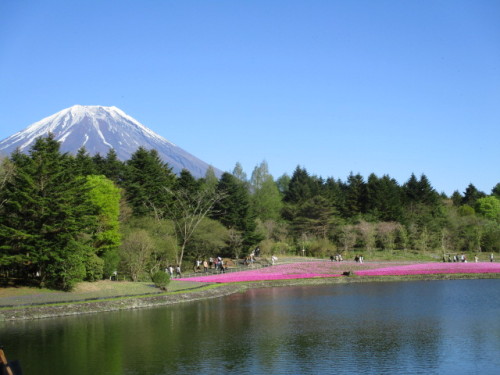 富士山と竜神池