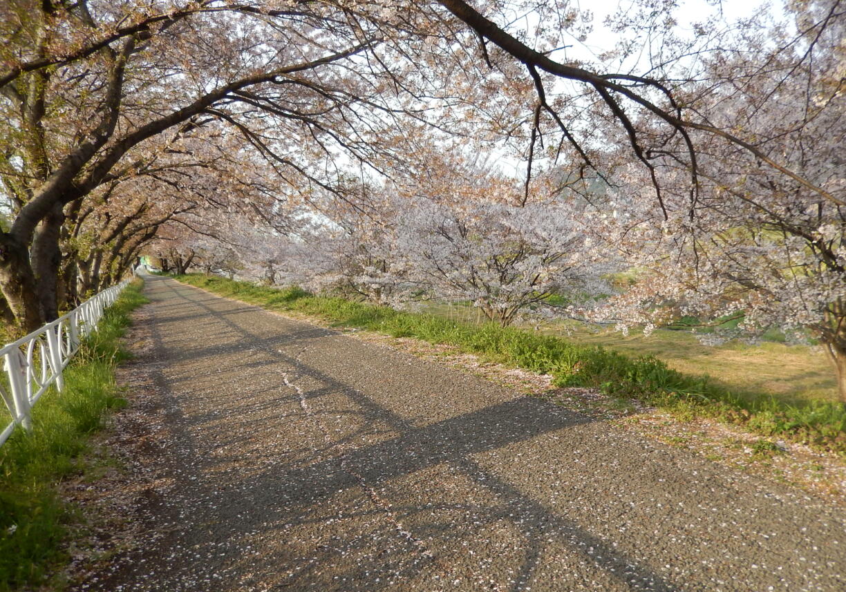 140413-1-2.jpg