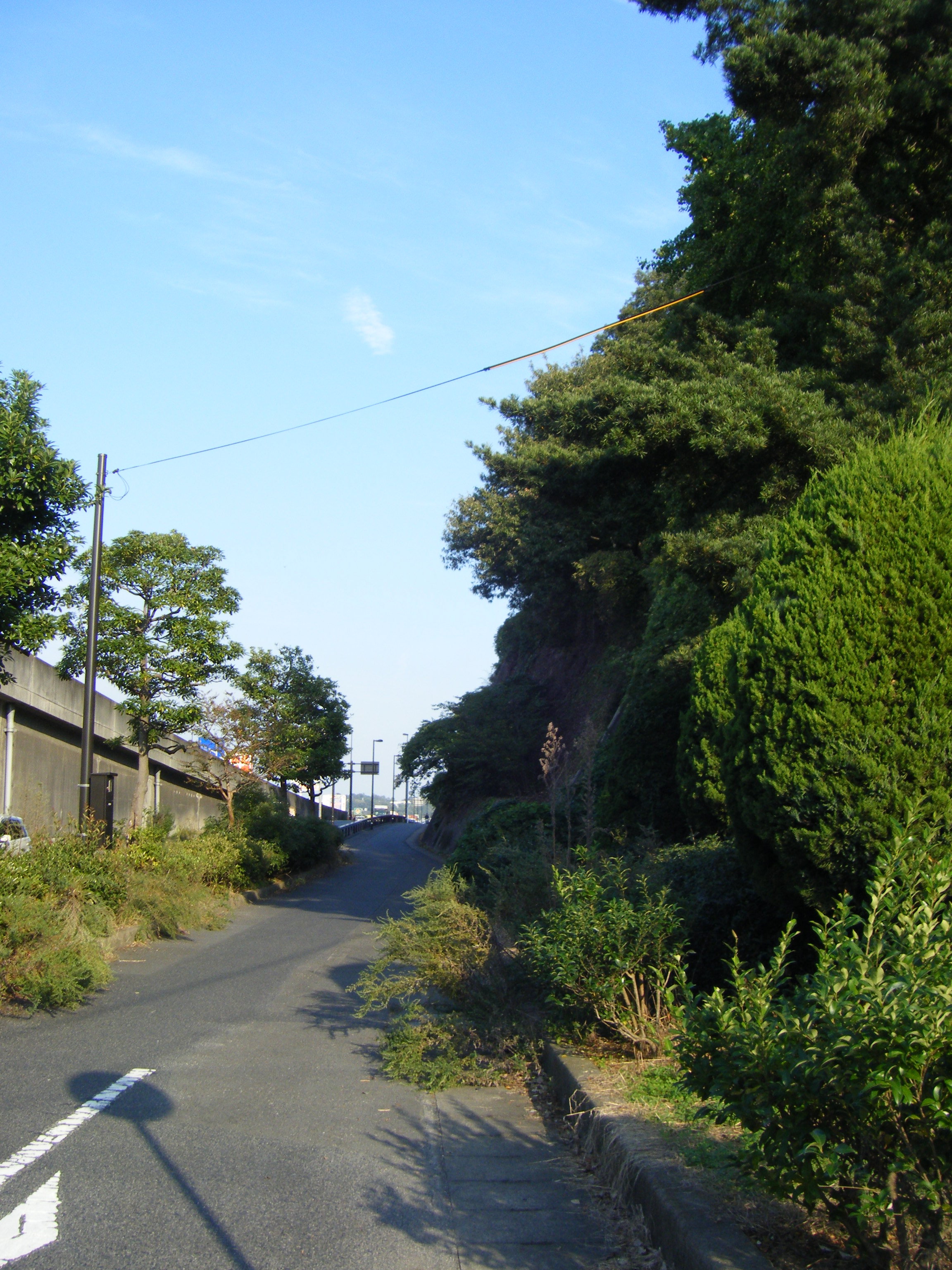 DSCF1328.jpg