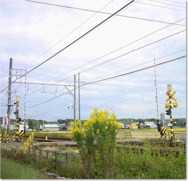 36アワダチ踏切