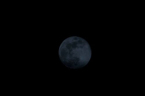 _DSC1977.JPG