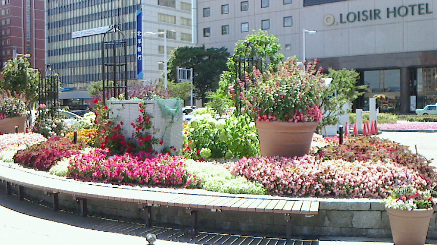NEC_0301.JPG