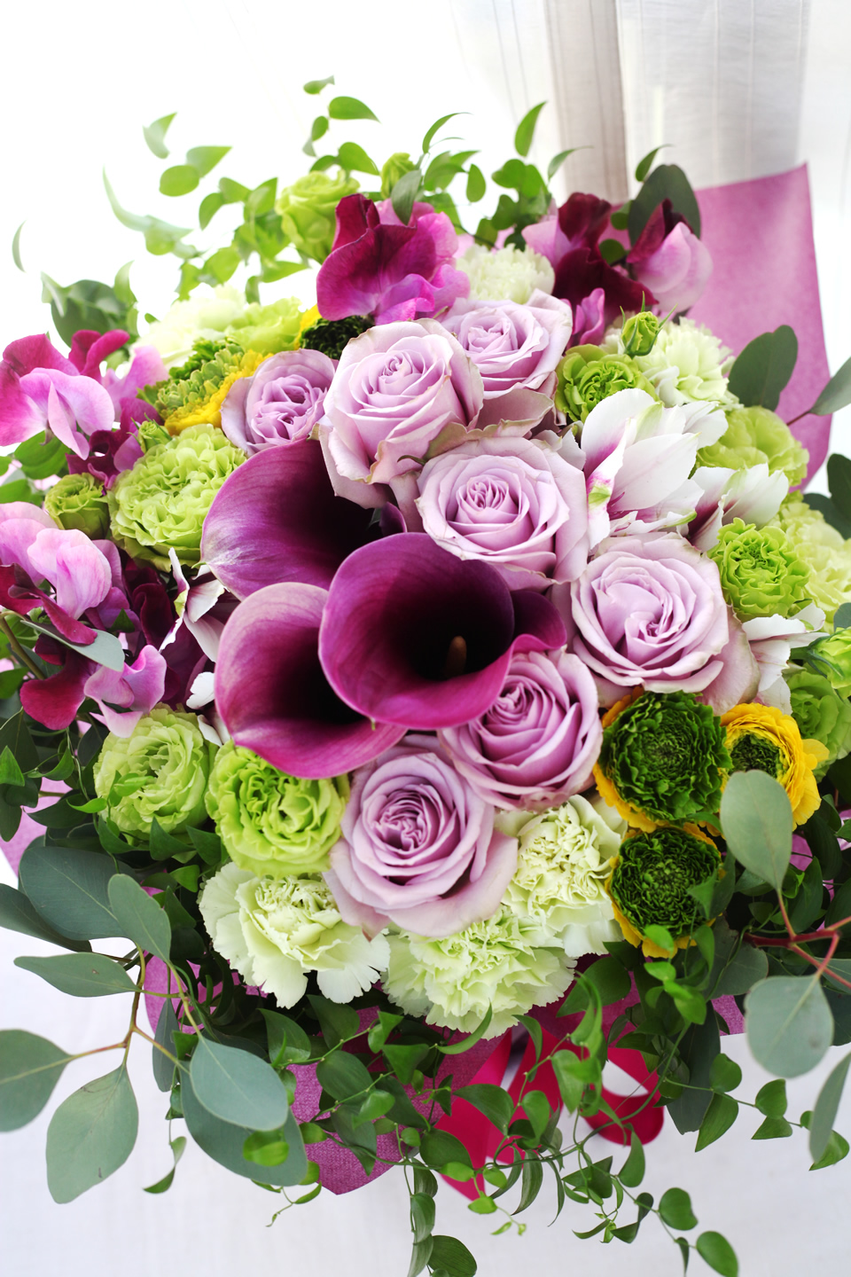 blue-violet8800-10.jpg