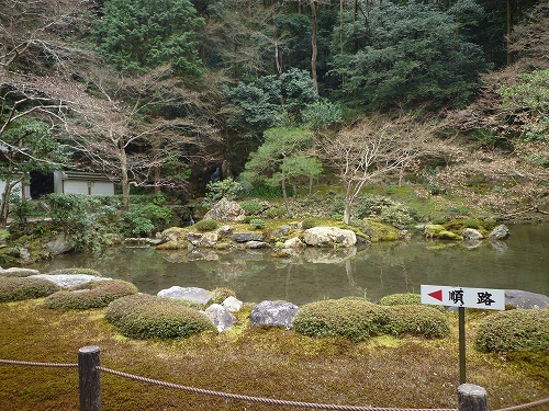 P1020874.jpg