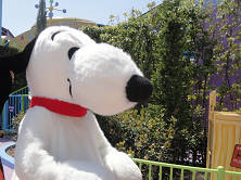 12.00　スヌーピーs.jpg