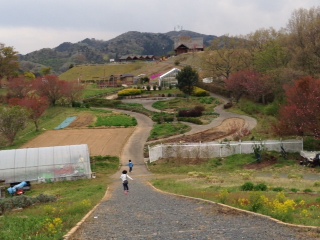 150425_001.jpg