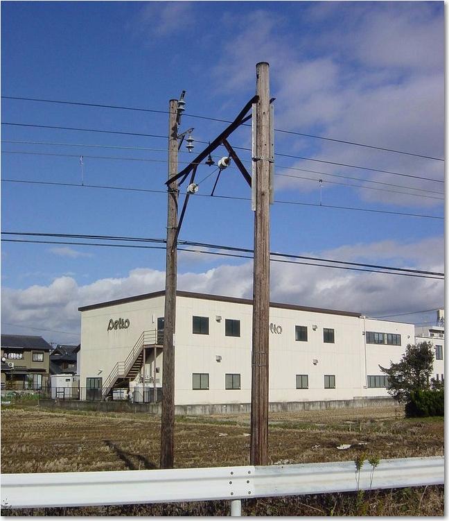 06木の架線柱.JPG