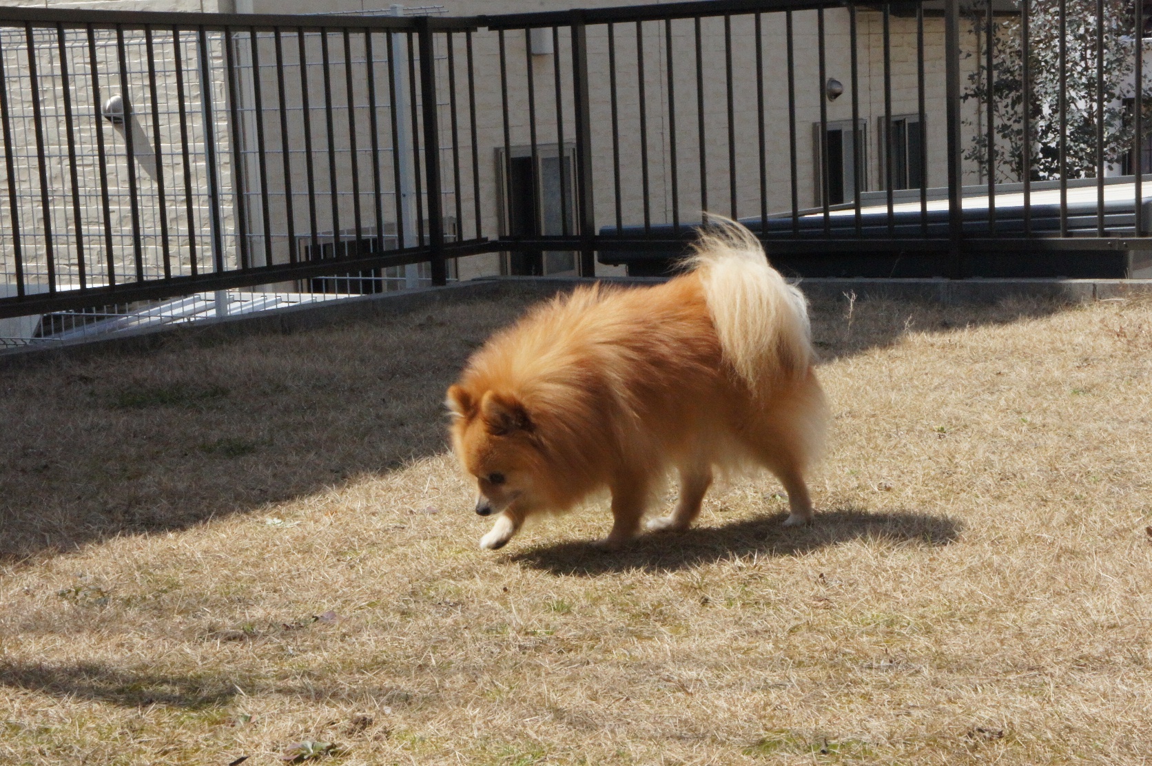 DSC08310.JPG