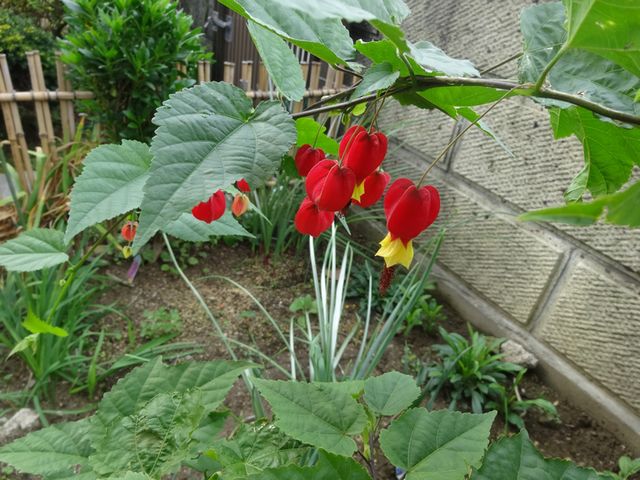DSC00577.JPG