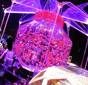 IMG_1693.JPG