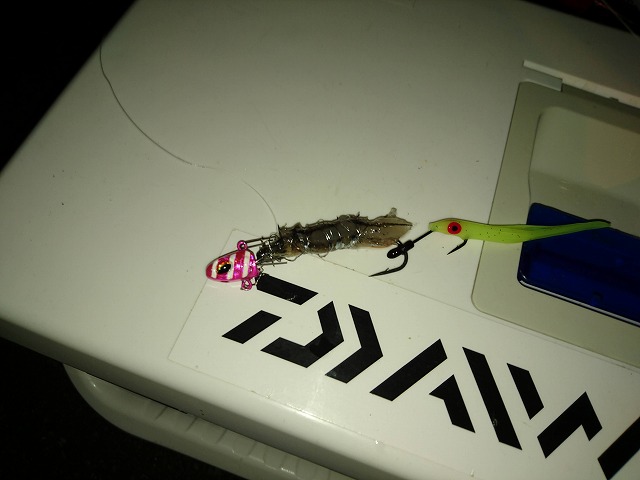 showPhoto (640×480)