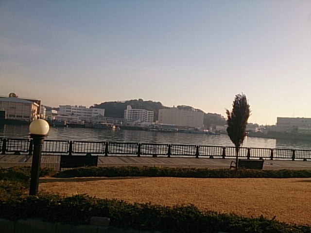 20180116  DSC_0004.jpg