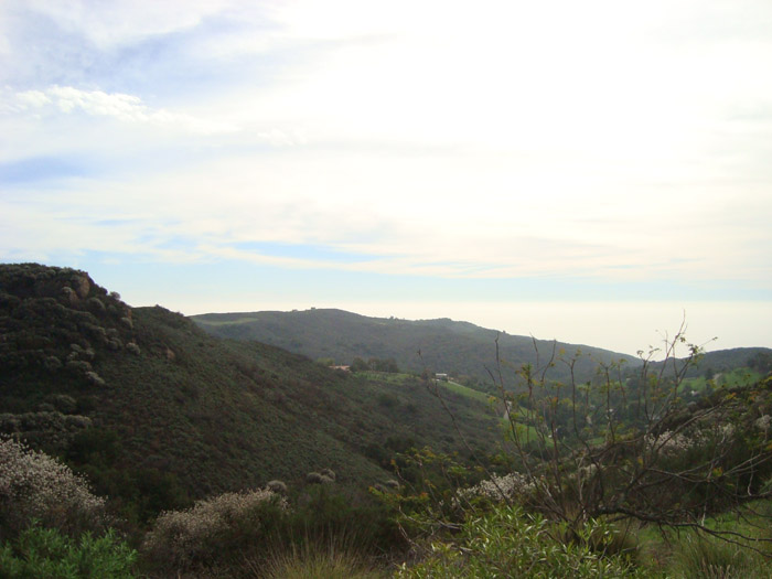 DSC03614.JPG