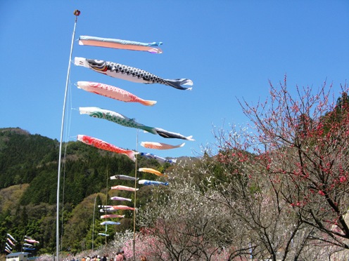 ３　こいのぼり.jpg