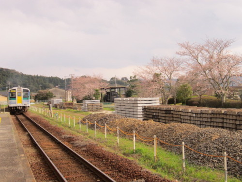 桜をバックに小櫃駅を出発する久留里線列車