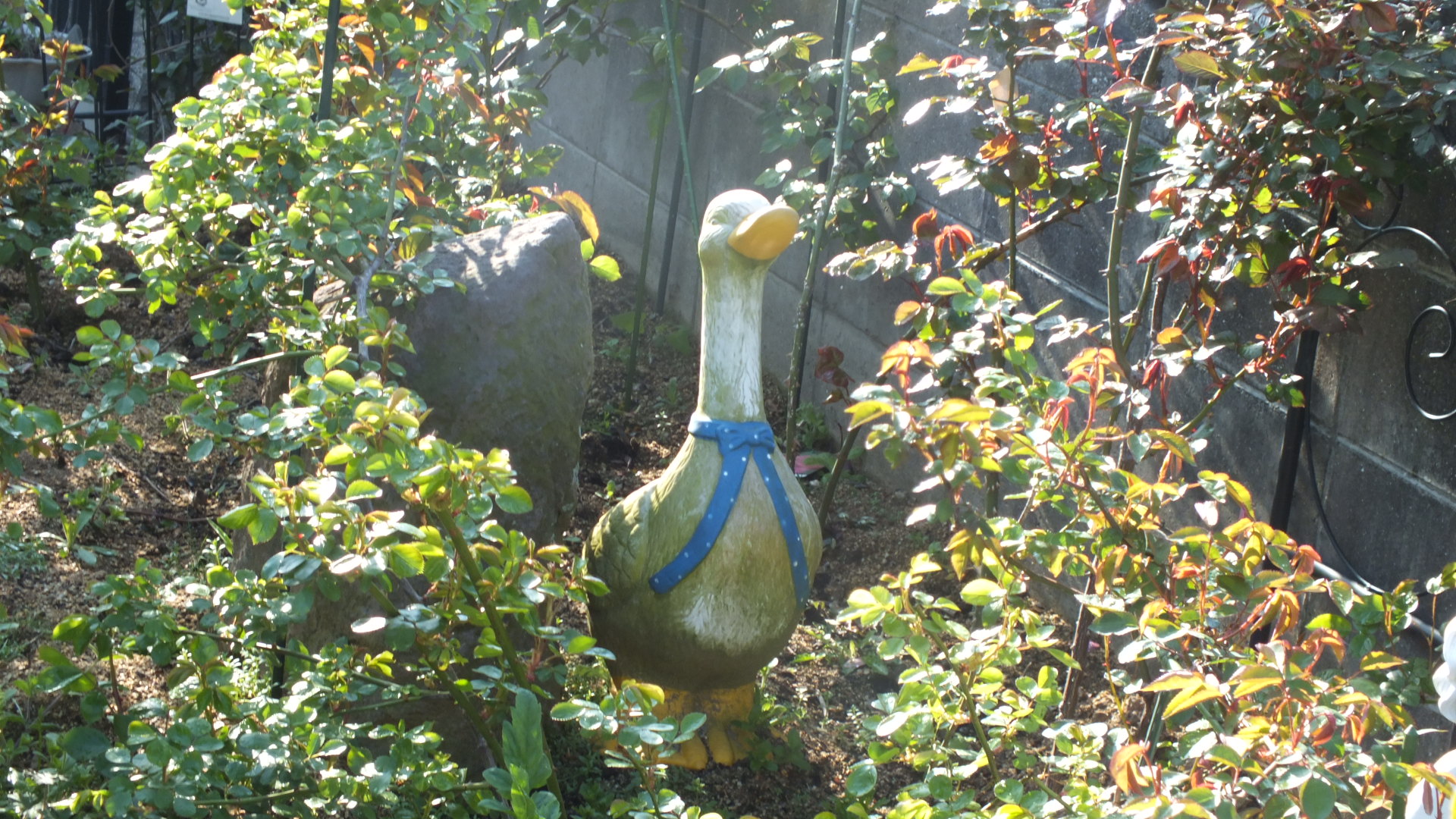 DSCF5830.JPG
