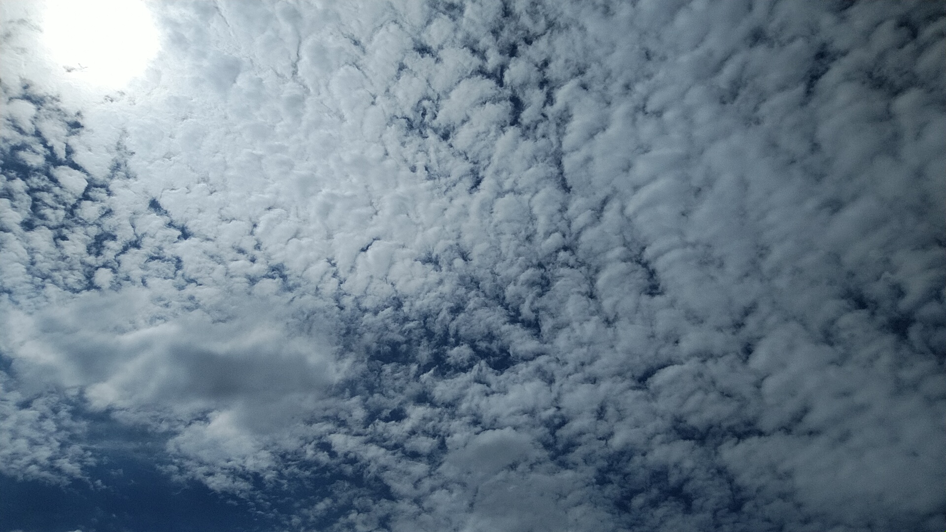 20230903  DSC_0002.jpg