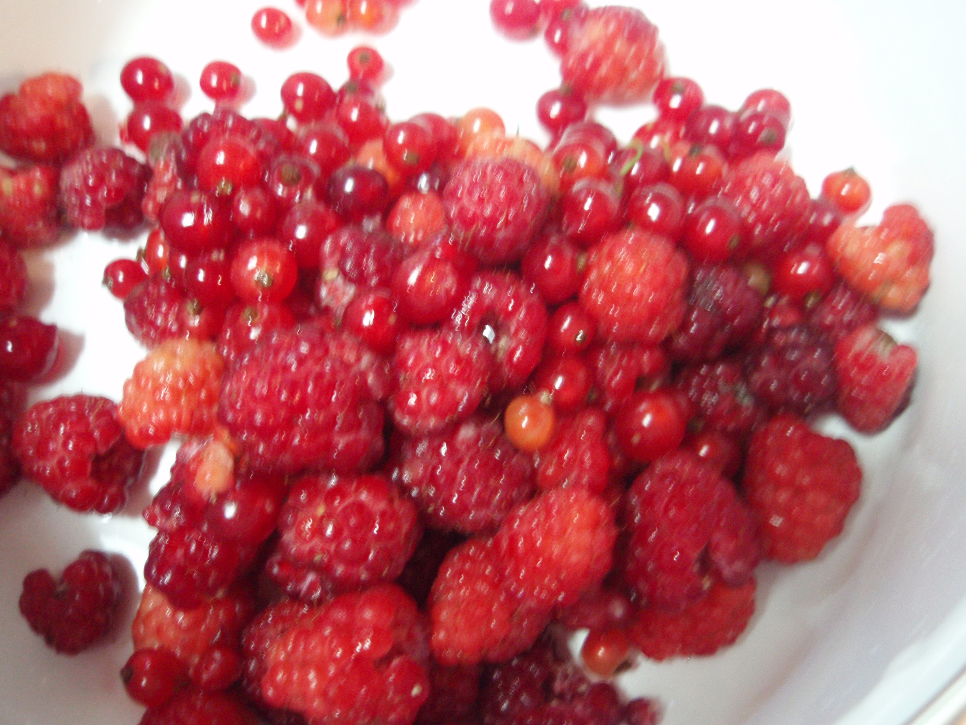 紅茶ギフトとジャム作り 002.jpg