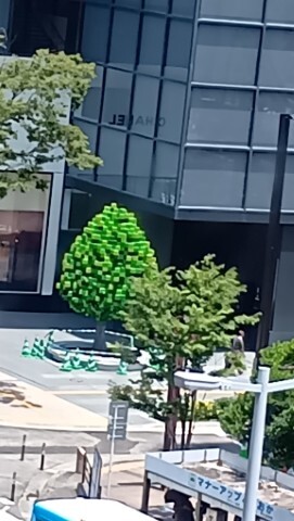 250706120035104 ().JPG