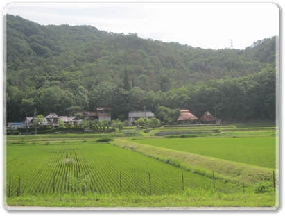 0508里山風景_0508.jpg