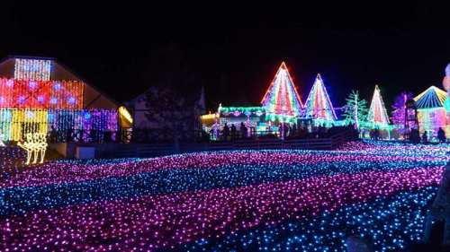 20141119 17202501.JPG