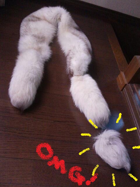 20130104ﾌｧｰ.jpg