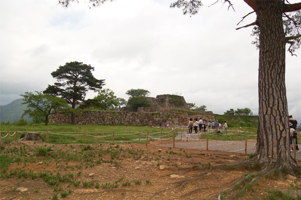 takeda8.jpg